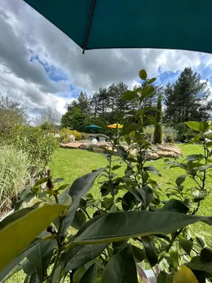 Jardin de l'établissement CHAMBRE DANS UN ECRIN DE VERDURE