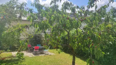 Jardin de l'établissement Maison 6 chambres avec jardin à Angers