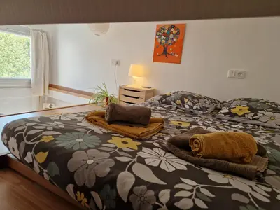 Plan de l'établissement Tiny house avec jardin spacieux