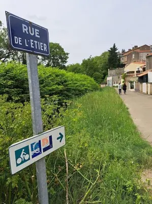 Plan de l'établissement Magnifique logement avec sauna infra rouge