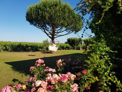 Jardin de l'établissement Entre Loire et Vignobles