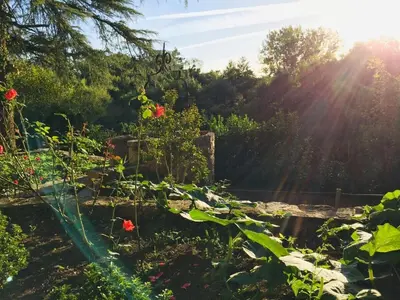 Jardin de l'établissement Maison l'or du temps, chambres d'hôtes
