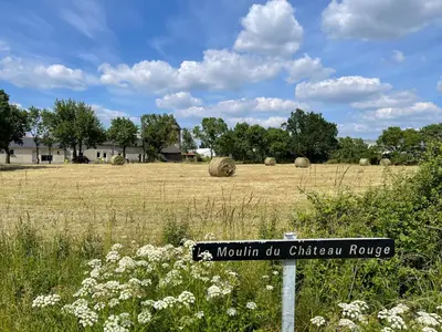 Paysage naturel près de la maison de vacances