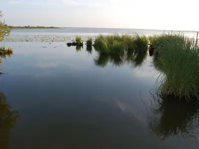 Paysage naturel près de la maison de vacances