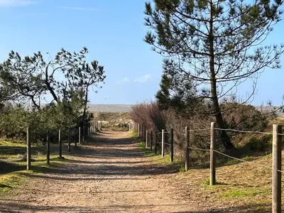 Paysage naturel près de l'appartement