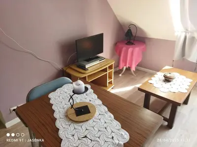 Télévision ou salle de divertissement dans l'établissement Studio chaleureux à Saint-Barthélemy-d'Anjou de 27 m² + jardin