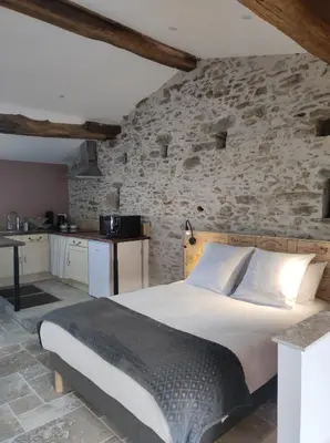 Cuisine ou kitchenette dans l'établissement Studio 30m2 La Cave - Les Gîtes du Lac - Proche Nantes avec Terrasse