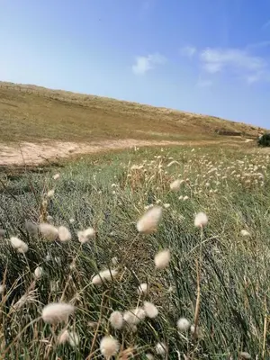 Paysage naturel près de l'appartement