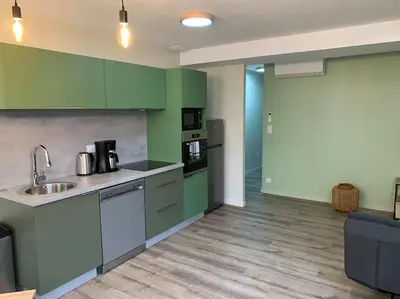 Cuisine ou kitchenette dans l'établissement Appartement Torii - Maulévrier Cholet Puy du Fou