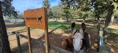 Animaux dans le camping ou à proximité