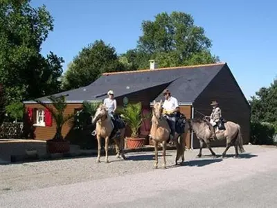 Équitation au sein de le séjour chez l'habitant ou à proximité