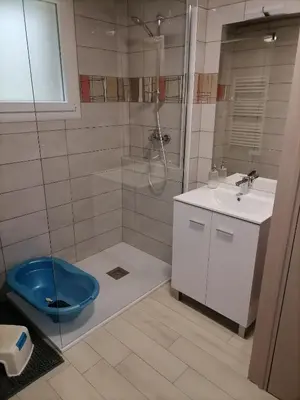 Salle de bains dans l'établissement Maison à la campagne 