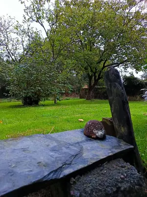Jardin de l'établissement Gites La butte de l'espérance