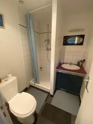 Salle de bains dans l'établissement Le nid Nantais studio cosy à Nantes, parc - expo , stade La Beaujoire