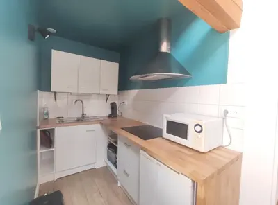 Cuisine ou kitchenette dans l'établissement Bel Appartement T1Bis en centre ville de Cholet