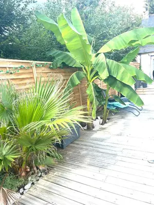 Jardin de l'établissement L Ecrin Solaire