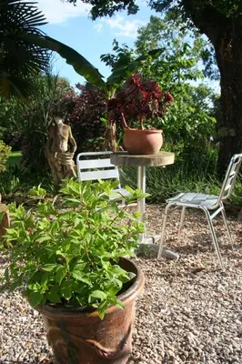 Jardin de l'établissement Une Chambre à la Campagne