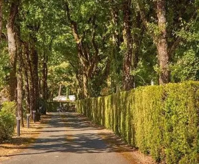 Jardin de l'établissement Mobil Home cosy 5 personnes proche du Puy Du Fou