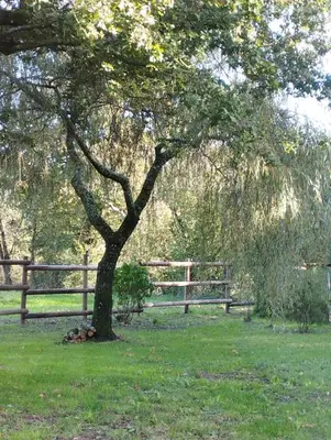 Jardin de l'établissement Gîte de la Haie des Bois - 8P