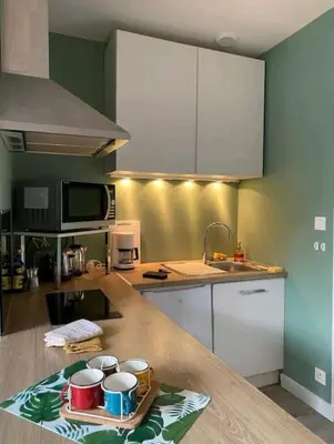 Cuisine ou kitchenette dans l'établissement Le Foch