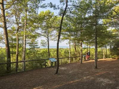 Paysage naturel près de l'appartement