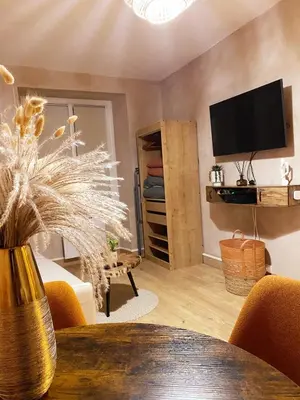 Télévision ou salle de divertissement dans l'établissement Charmant T1 hypercentre Nantes