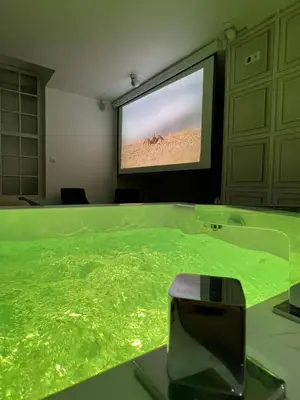 Piscine de l'établissement Appartement avec Jacuzzi Sauna & Home Cinéma - Nid d'Angers ou située à proximité