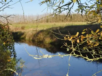 Paysage naturel près de l'appartement