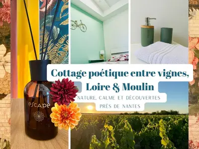 Plan de l'établissement Cottage poétique entre vignes, Loire et moulin