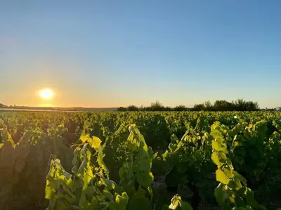 Lever ou coucher de soleil vu de la maison de vacances ou à proximité