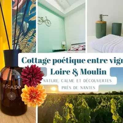 Cottage poétique entre vignes