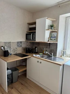 Cuisine ou kitchenette dans l'établissement Les meublés de Louis-Marie, 2 appartements indépendants pour 4 personnes, 8 personnes au total, proche du Puy du Fou