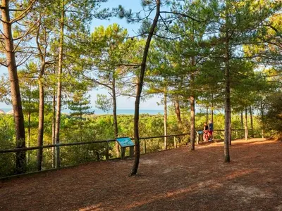Paysage naturel près de l'appartement