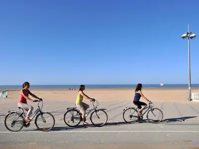 Vélo sur le terrain de l'établissement Bel appartement 1 chambre pour 5 personnes près de la plage - FR-1-323-412 ou dans les environs