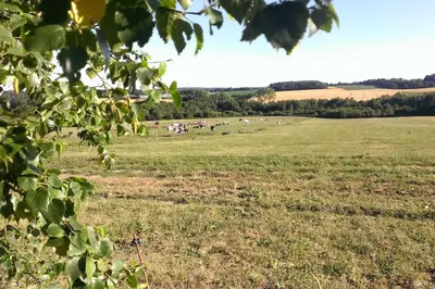 Paysage naturel près de l'appartement