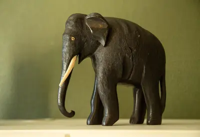Animaux dans le B&B/chambre d'hôtes ou à proximité
