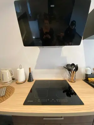 Cuisine ou kitchenette dans l'établissement Maisonnette 2/4 personnes en bord de sevre