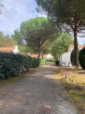 Jardin de l'établissement Maisonnette au calme prôche forêt et bord de mer