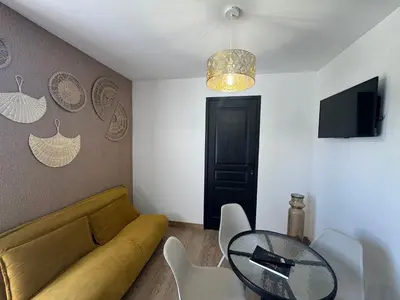 Télévision ou salle de divertissement dans l'établissement Studio concorde proche Aéroport de Nantes