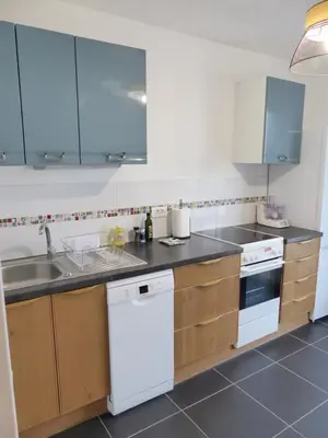 Cuisine ou kitchenette dans l'établissement VULCAIN 4, 14ème, Ile de Nantes, vue exceptionnelle avec parking