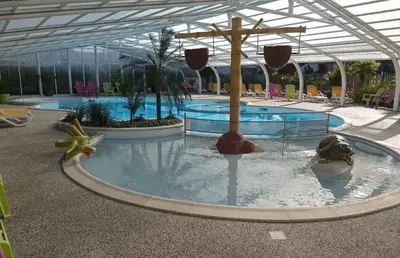 Piscine de l'établissement ZEcamping 4 sauna hammam et jacuzzi piscine couverte animaux acceptés ou située à proximité