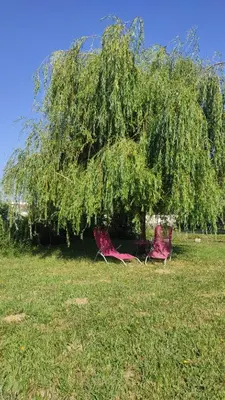Jardin de l'établissement Les Bordaiseries
