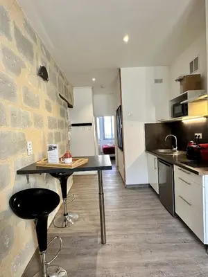 Cuisine ou kitchenette dans l'établissement Charmant studio hyper centre