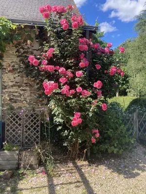 Jardin de l'établissement La Marmoire