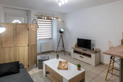 Télévision ou salle de divertissement dans l'établissement Les reflets de Loire