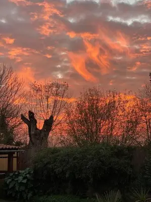 Lever ou coucher de soleil vu de l'appartement ou à proximité