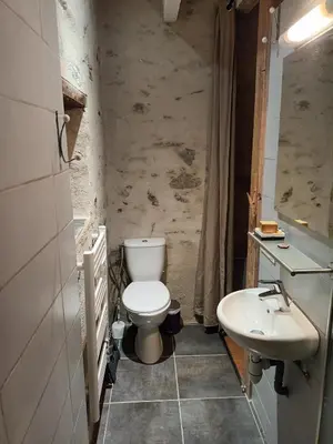 Salle de bains dans l'établissement Charmante chambre bords du louet .
