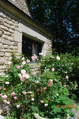 Jardin de l'établissement Ty Bodudal, maison Cosy et indépendante