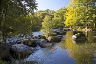Paysage naturel près de la maison de vacances