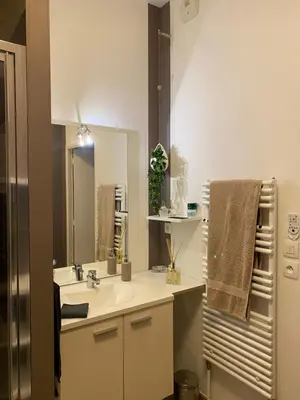 Salle de bains dans l'établissement Pornichet 3 mns de la plage avec jardin classé 3 étoiles